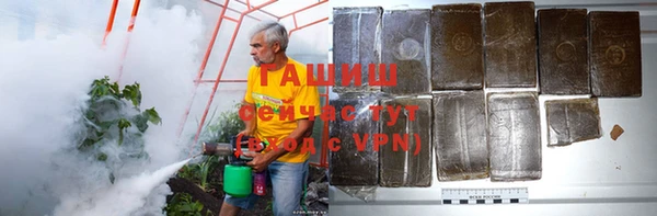 прущий лед Богданович