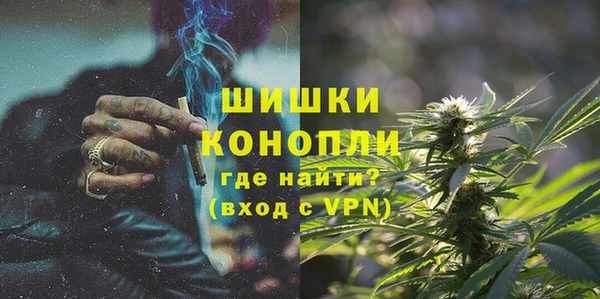 ПСИЛОЦИБИНОВЫЕ ГРИБЫ Бородино