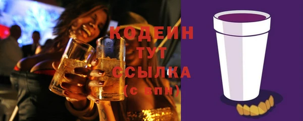 ГАЛЛЮЦИНОГЕННЫЕ ГРИБЫ Вяземский