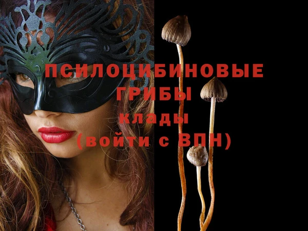 гашиш Богородицк