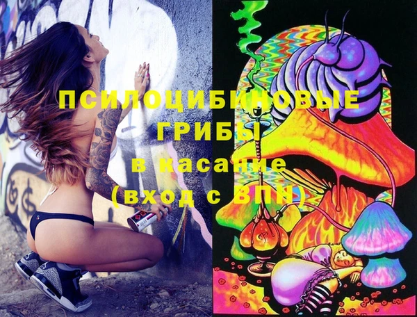 винт Бронницы