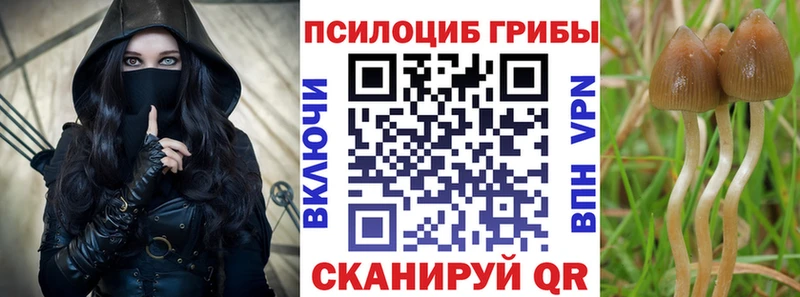 shop состав  Бугуруслан  Галлюциногенные грибы MAGIC MUSHROOMS 